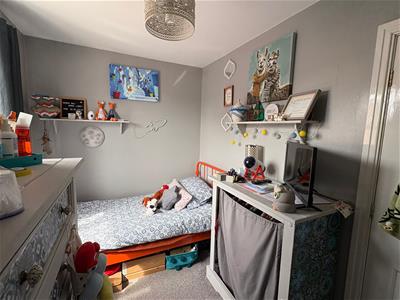 Picture 7